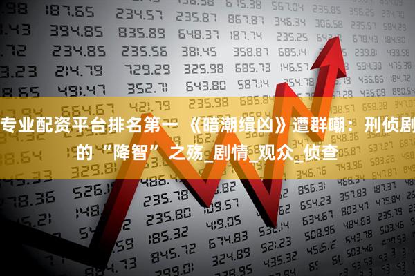 专业配资平台排名第一 《暗潮缉凶》遭群嘲：刑侦剧的 “降智” 之殇_剧情_观众_侦查