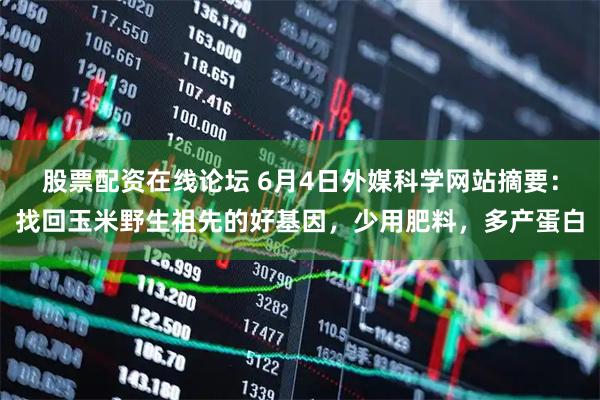 股票配资在线论坛 6月4日外媒科学网站摘要：找回玉米野生祖先的好基因，少用肥料，多产蛋白